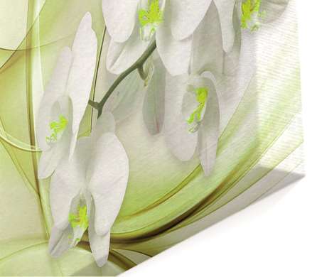 Tablou Pe Panza Multicanvas, Orhidee pe un fundal verde., 198 x 115