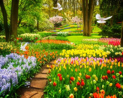 Фотообои - Аллея в цветочном саду и белые голуби