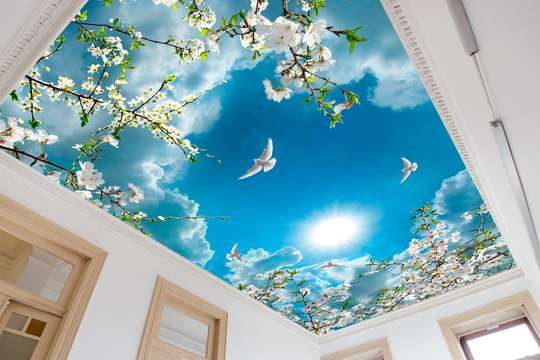 Wall Mural - White spring flowers against a blue sky