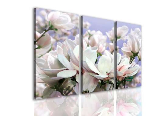 Модульная картина, Нежный цветок на фоне неба., 70 x 50, 70 x 50