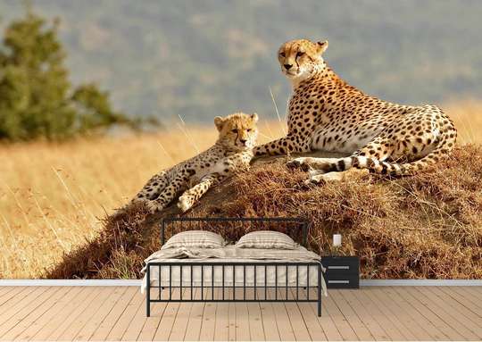 Фотообои - Леопарды на камне