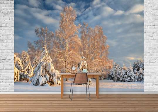 Фотообои - Зимний пейзаж