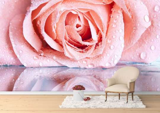Wall Mural - Beige rose reflection