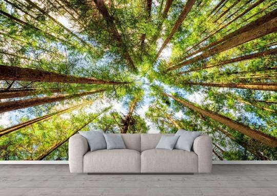 Wall Mural - Green forest
