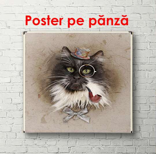 Постер, Кот в очках и с трубкой, 100 x 100 см, Постер в раме, Животные