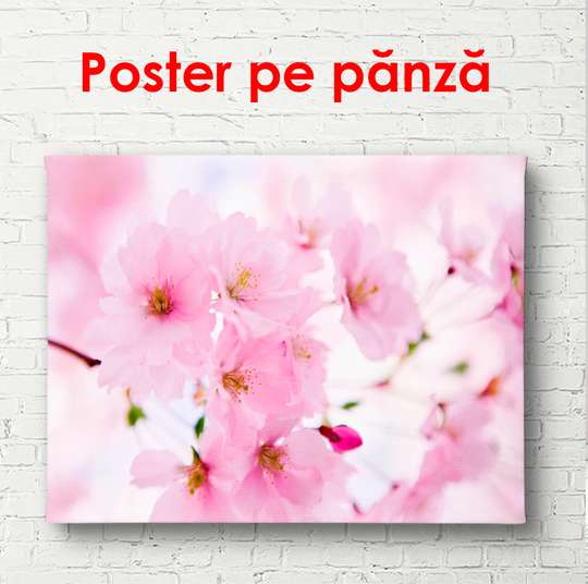 Poster - Flori delicate de roz, 90 x 60 см, Poster înrămat, Flori