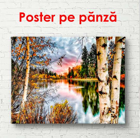 Poster - Birch trees near the lake at sunset, 90 x 60 см, Framed poster