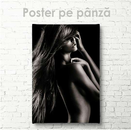 Poster - Siluetă, 30 x 45 см, Panza pe cadru