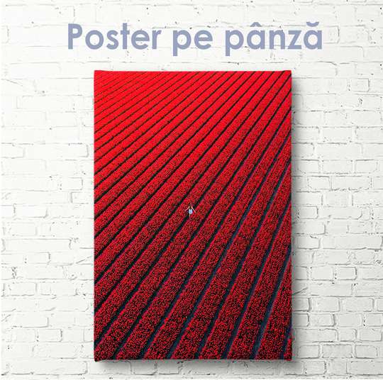 Постер - Красное поле, 30 x 45 см, Холст на подрамнике