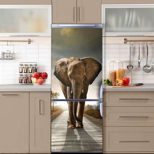 3D sticker on the door, Elephant in anger, 60 x 90cm