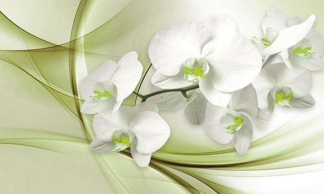 Modular picture, Orchid on a green background., 106 x 60