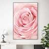 Poster - Trandafir roz de aproape, 30 x 45 см, Panza pe cadru, Flori