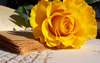Tablou Pe Panza Multicanvas, Trandafirul cu culoarea galbenă pe masă, 106 x 60, 106 x 60