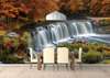 Wall Mural - Wonderful cascade in the autumn forest