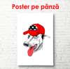Poster - Un câine alb cu o șapcă roșie, 60 x 90 см, Poster inramat pe sticla, Minimalism