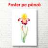 Постер - Яркий цветок ириса в акварельном стиле, 30 x 60 см, Холст на подрамнике, Минимализм
