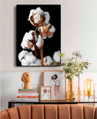 Poster - Cotton flower, 30 x 45 см, Canvas on frame