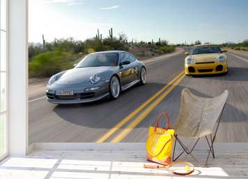 Wall Mural - Racing in the desert