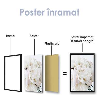 Poster - White peony, 30 x 60 см, Canvas on frame, Botanical