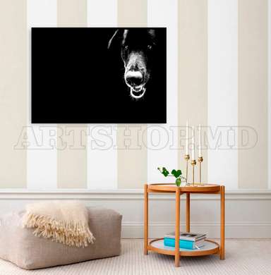 Poster, Black dog, 60 x 30 см, Canvas on frame, Animals