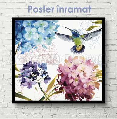 Poster - Colibri în flori, 100 x 100 см, Poster inramat pe sticla, Botanică