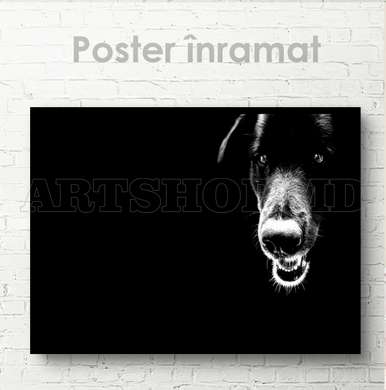 Poster, Black dog, 60 x 30 см, Canvas on frame, Animals