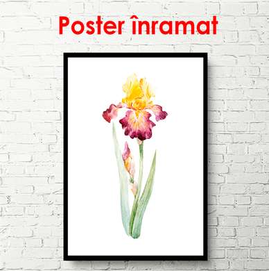 Poster - Floare de iris aprins pictat în acuarelă, 30 x 60 см, Panza pe cadru