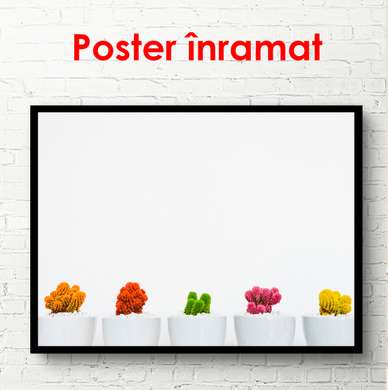 Постер - Разноцветные кактусы, 45 x 30 см, Холст на подрамнике, Минимализм