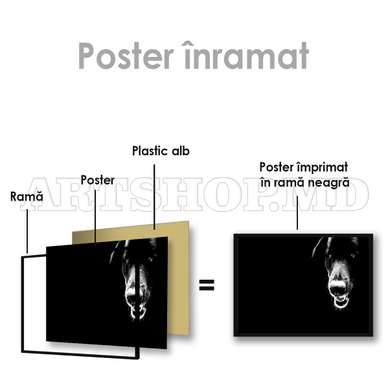 Poster, Black dog, 60 x 30 см, Canvas on frame, Animals