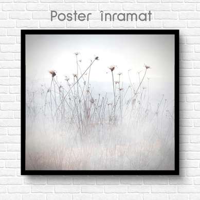 Постер - Цветочки в тумане, 100 x 100 см, Постер на Стекле в раме