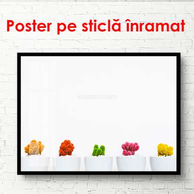 Poster - Cactuși multicolori, 90 x 60 см, Poster inramat pe sticla, Minimalism