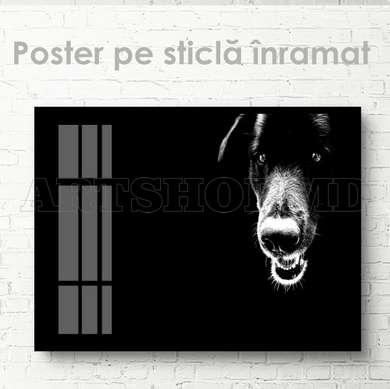 Poster, Black dog, 60 x 30 см, Canvas on frame, Animals