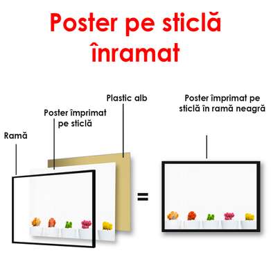Poster - Cactuși multicolori, 45 x 30 см, Panza pe cadru