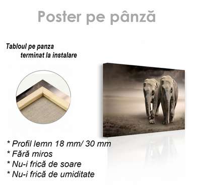 Poster, Doi elefanți, 90 x 60 см, Poster inramat pe sticla