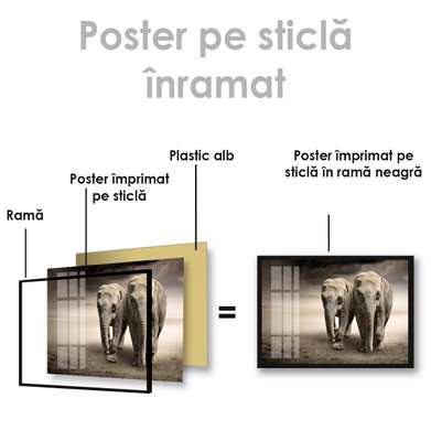 Poster, Two elephants, 45 x 30 см, Canvas on frame