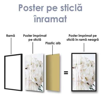 Poster - White peony, 30 x 60 см, Canvas on frame, Botanical