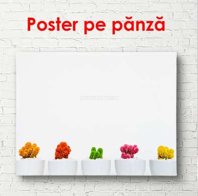 Poster - Cactuși multicolori, 45 x 30 см, Panza pe cadru, Minimalism