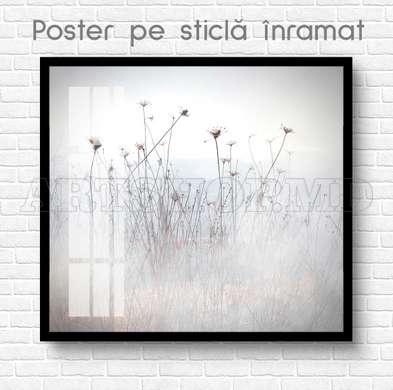 Poster - Flowers in the fog, 40 x 40 см, Canvas on frame, Flowers