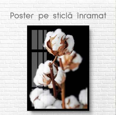Poster - Floare de bumbac, 60 x 90 см, Poster inramat pe sticla