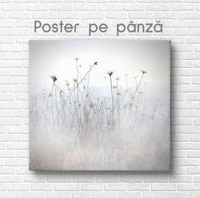 Poster - Flowers in the fog, 100 x 100 см, Framed poster on glass