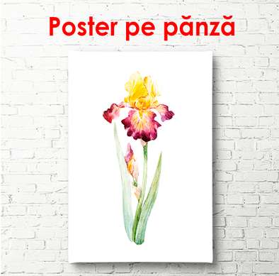 Poster - Floare de iris aprins pictat în acuarelă, 30 x 60 см, Panza pe cadru