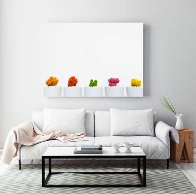 Poster - Colorful cacti, 45 x 30 см, Canvas on frame, Minimalism