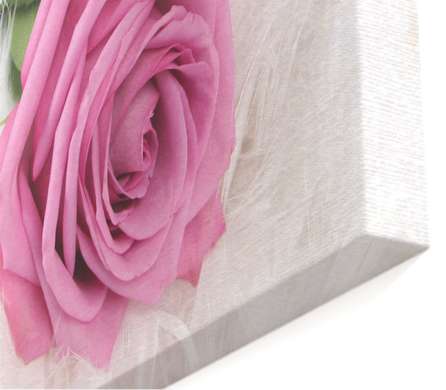 Modular picture, Pink rose on a white background., 198 x 115