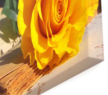 Tablou Pe Panza Multicanvas, Trandafirul cu culoarea galbenă pe masă, 198 x 115, 198 x 115