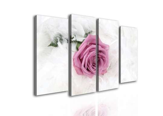Tablou Pe Panza Multicanvas, Trandafirul roz pe un fundal alb., 198 x 115