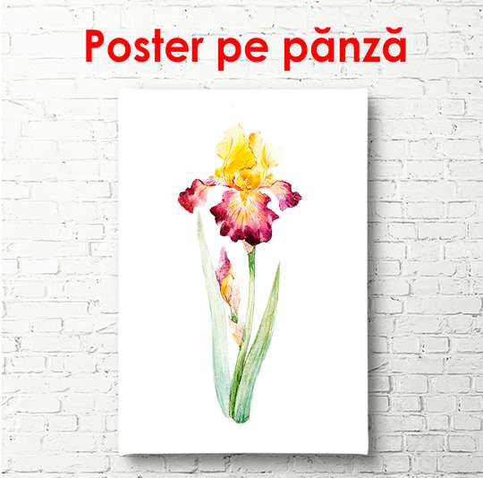 Постер - Яркий цветок ириса в акварельном стиле, 30 x 60 см, Холст на подрамнике