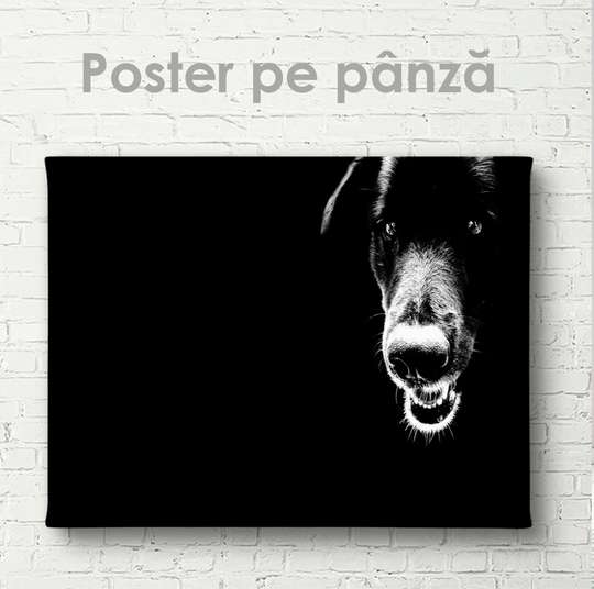 Poster, Black dog, 60 x 30 см, Canvas on frame, Animals