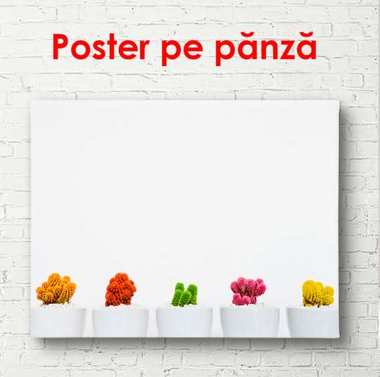 Постер - Разноцветные кактусы, 45 x 30 см, Холст на подрамнике