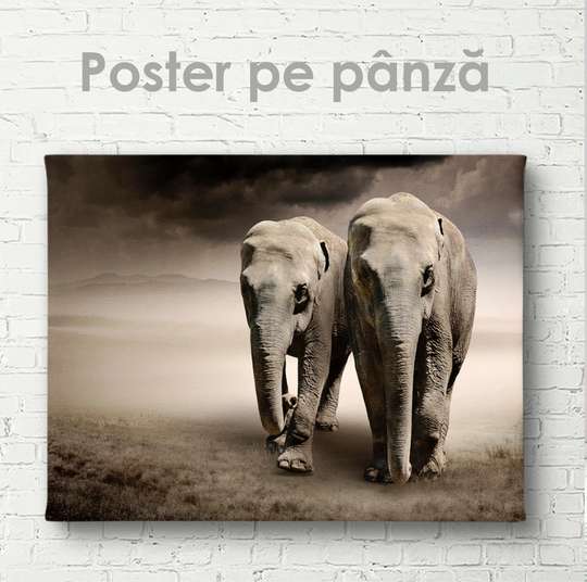 Poster, Two elephants, 45 x 30 см, Canvas on frame, Animals