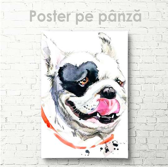 Poster, Buldog francez, 30 x 45 см, Panza pe cadru, Animale